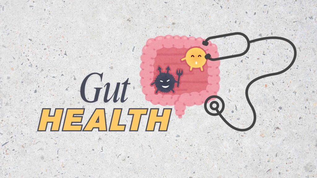Gut Health