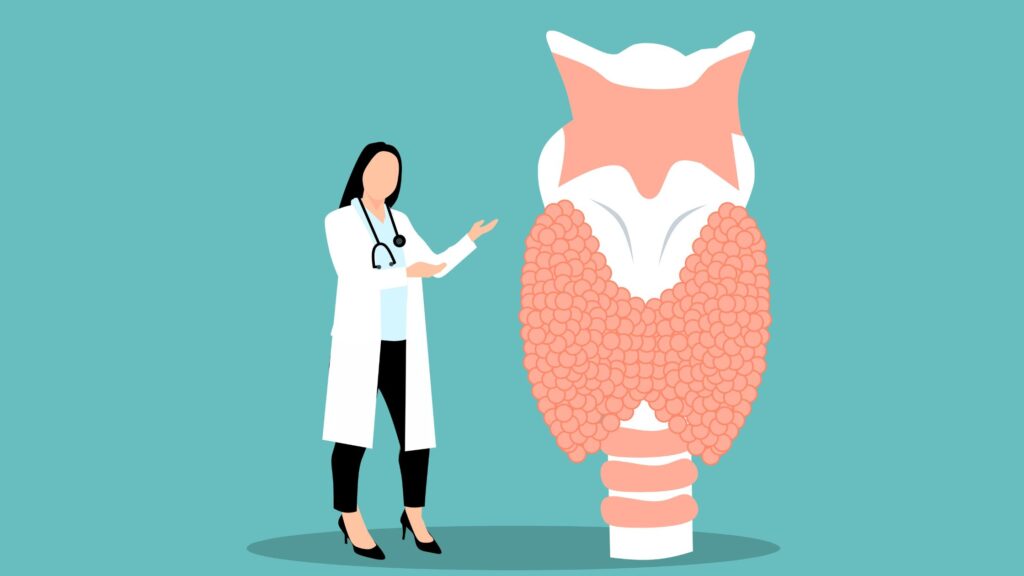 Thyroid Gland