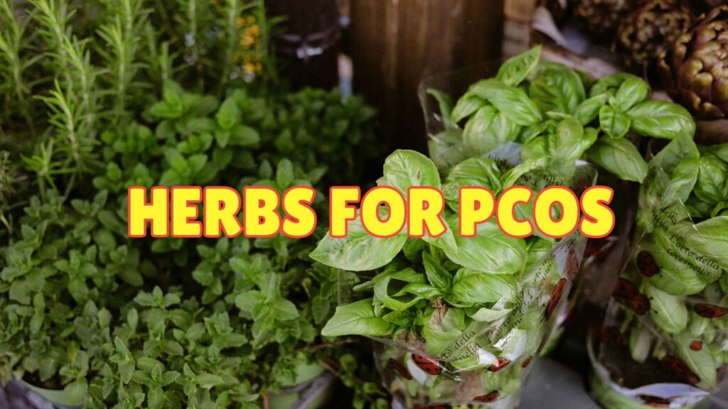 Herbs for Pcos