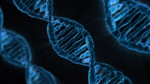 Epigenetics