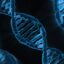 Epigenetics